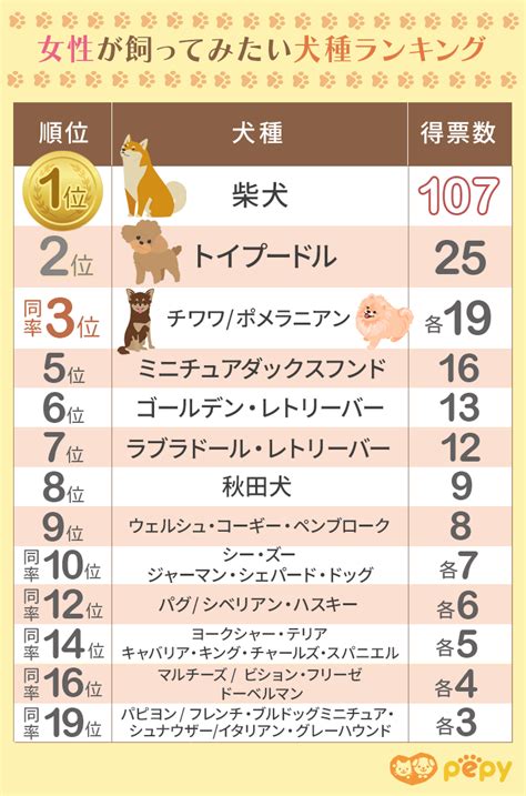 top cancamjp