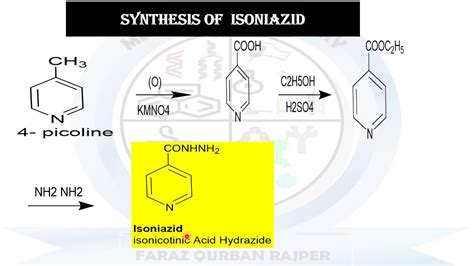 Isoniazid Inh Synthesis Metabolism Anti Tb Drugs Tuberculosis