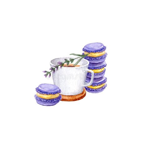 Watercolor Illustration Of French Macaroons And Lavender Tea Or Coffee