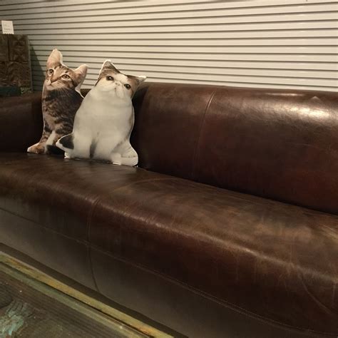 廃番Cushion Pussy Cat A Exotic Shorthair クッションの通販 KAREドイツの家具インテリア雑貨カレジャパン公式オンラインストア