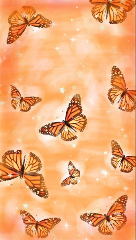 Aesthetic Of Butterflies Hd Phone Wallpaper Pxfuel