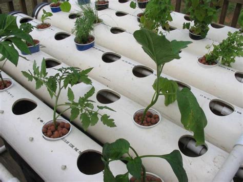 How To Assemble A Homemade Hydroponic System How Tos Diy