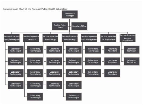 Chain Of Command Chart Template Elegant Organizational Chart