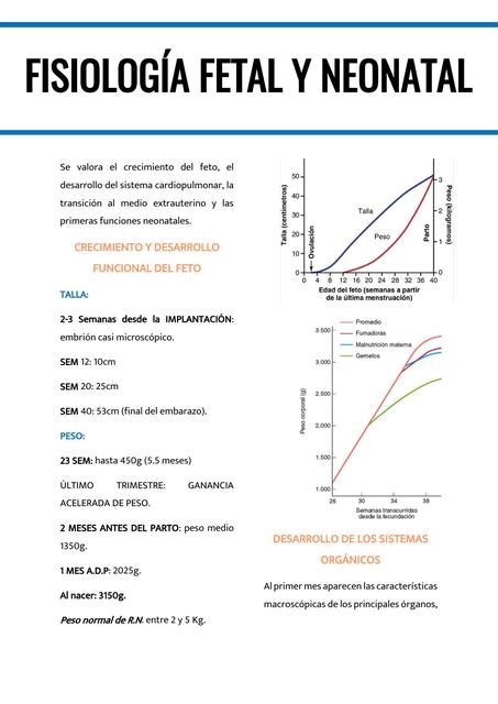 Fisiolog A Fetal Y Neonatal Brayans Vargas Caycho Udocz