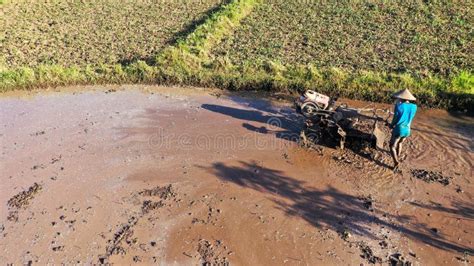 Farmer Plowing Muddy Field With Hand Tractor On Indonesia Asia Stock