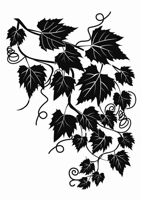 Wall Decals Ivy Walltat Art Without Boundaries With Images