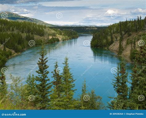 Река Юкон к северу от Whitehorse Юкона T Канады Стоковое Фото ...