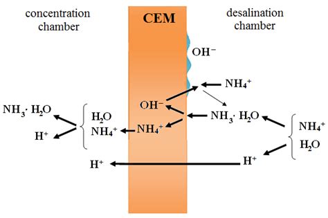 Membranes Free Full Text Electromass Transfer In The System “cation