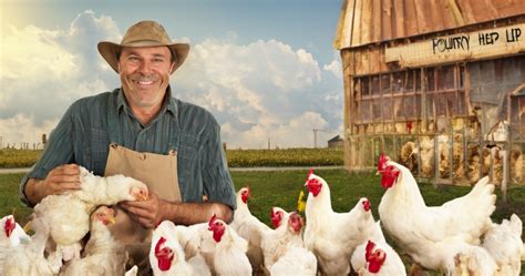 government policies  institutes supporting poultry  india