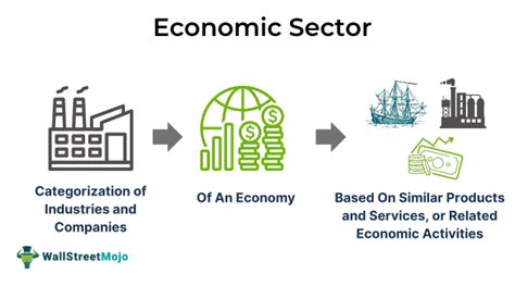 Economic Sector Definition Examples Types Role