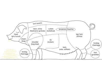 Cuts of Bacon | Bacon Wiki | Fandom