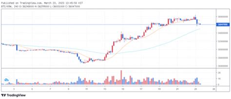 점심 브리핑 프랑스 인플루언서 ‘직·간접 암호화폐 홍보 금지 By Decenter