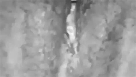 Wasmo Porn Videos XHamster