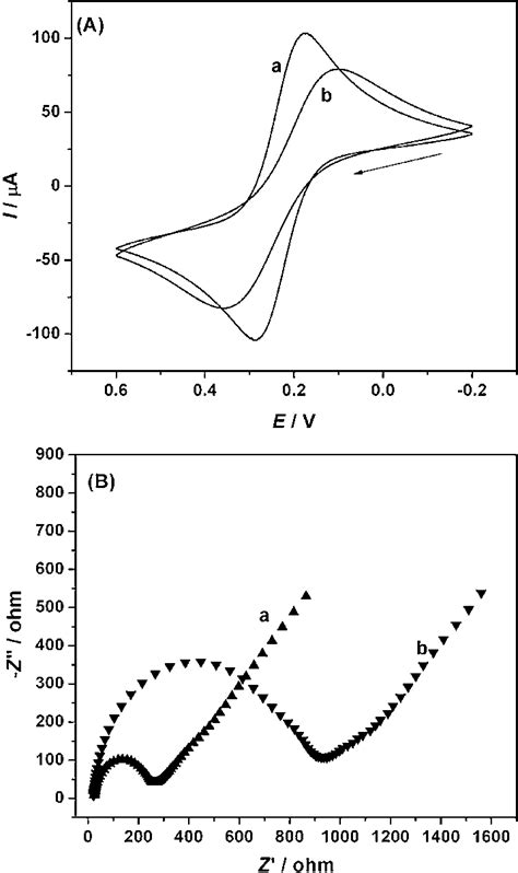 A Cyclic Voltammograms At Gce A And Hapgce B In 5 Mm Fecn 6 Download Scientific Diagram