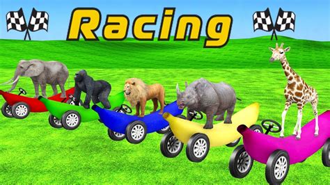 Animals Banana Car Race Wild Animals Animation Cartoons For Kids