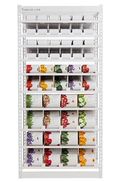 My Absolute Favorite Food Storage Organizer From Thrive Life Plan For