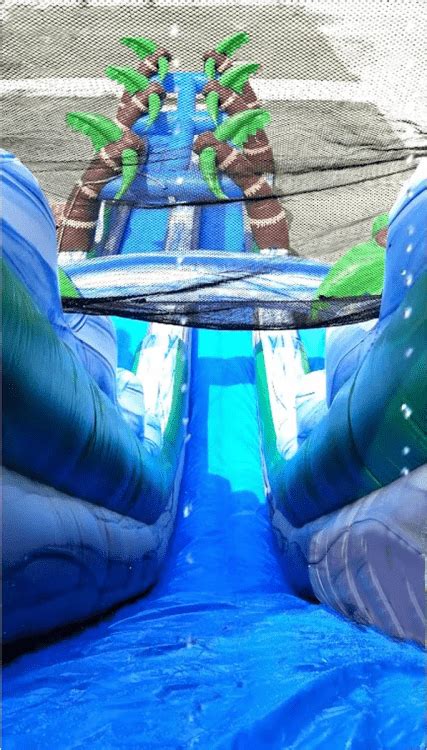 Tropical Double Lane Slip N Slide Bounce House Rentals Middletown