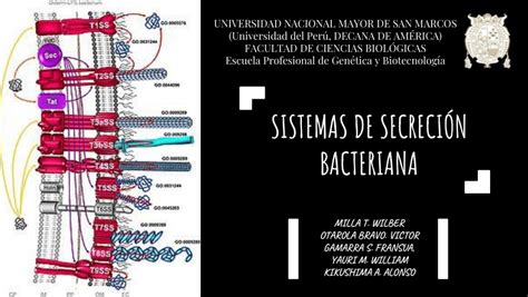 PDF SISTEMAS DE SECRECIÓN BACTERIANA