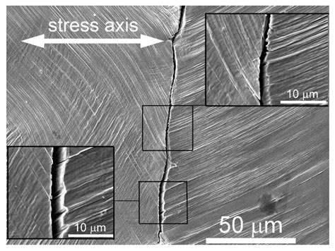Role of Persistent Slip Bands and Persistent Slip Markings in Fatigue
