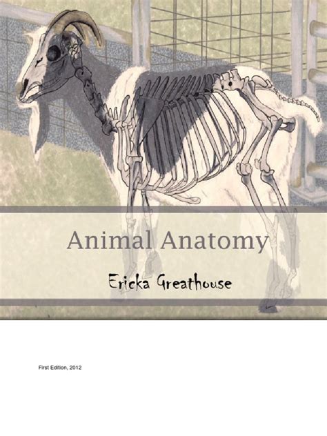 Animal Anatomy | Anatomical Terms Of Location | Zoology