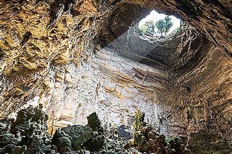 Grotte Verdi Della Grotta La Bellezza Naturale Di Runaway Bay