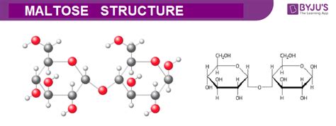 Maltose Molecular Structure