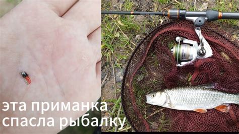 первый раз ловлю на мормо мухи. Пока не очень - YouTube