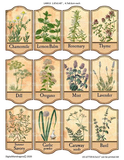 12x Herbal Apothecary Labels Herb Labels Herbs Jar Labels Etsy Herb