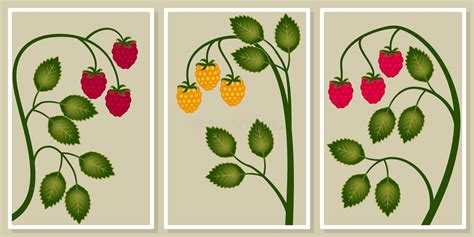 Raspberry Sprigs With Leaves And Yellow Pink And Purple Berries Wall