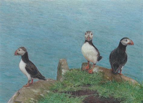 Puffins On The Faroese Island Of Mykines By Iseriksonartist On Deviantart