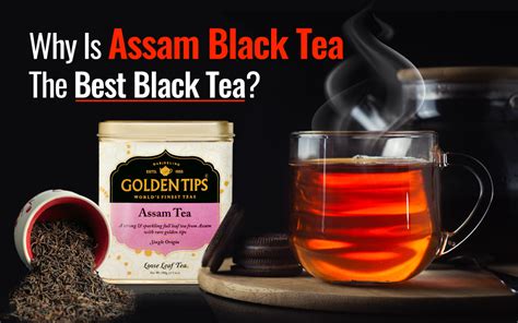 Why Is Assam Black Tea The Best Black Tea Golden Tips Tea India