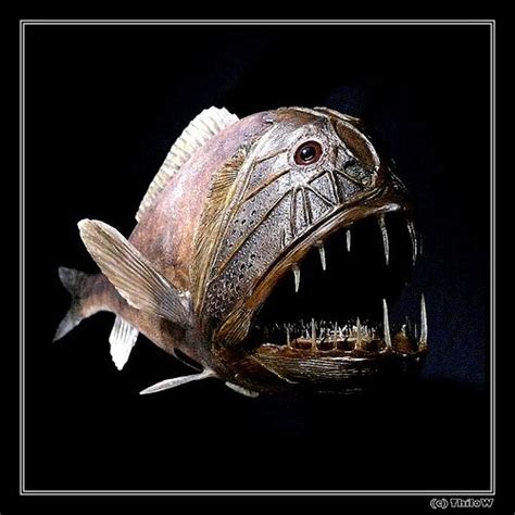 √ Deep Sea Fish With Big Mouth | Fischlexikon