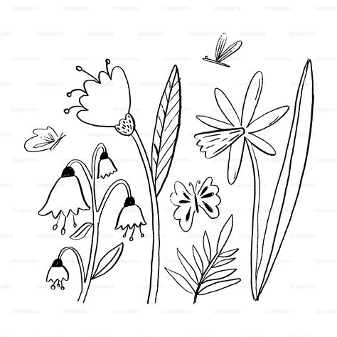 Desenhos Preto E Branco De Flores - 9