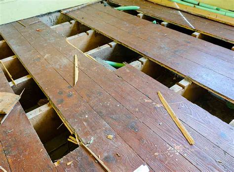How To Fix Squeaky Floorboards Under Carpet Floor Roma