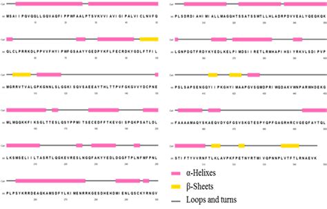 Modelaci N Por Homolog A Y Caracterizaci N Estructural In Silico De La