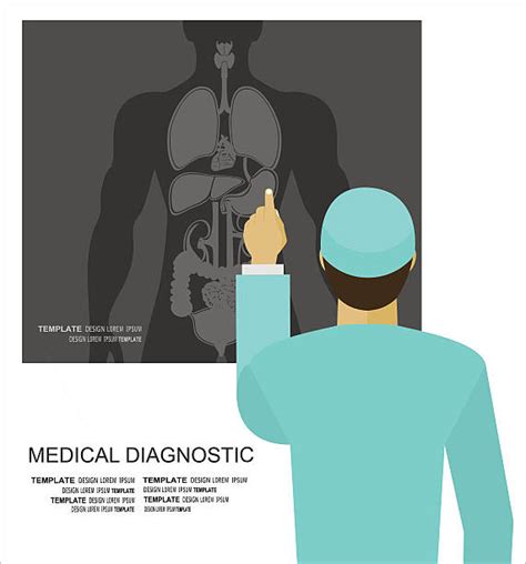 Torso Xray Illustrations Royalty Free Vector Graphics And Clip Art Istock