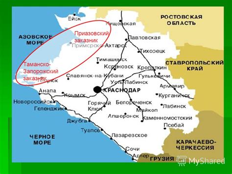 Презентация на тему: "Кубань Охрана животного мира Краснодарского края ...
