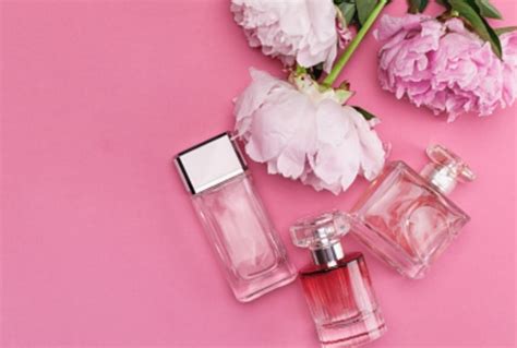 Summer Guide 101 5 Refreshing Fragrances To Beat The Scorching Heat