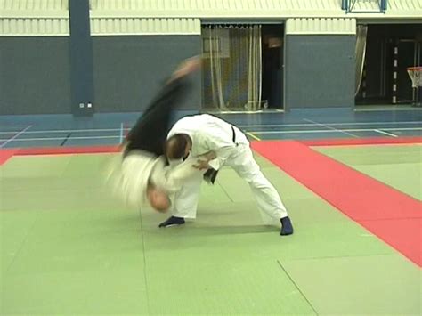 Daito-ryu Aikijujutsu / Canadian Study Group