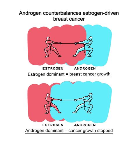 Therapy Targeting Androgen Receptors Opens New Chapter For Hormone Driven Breast Cancers