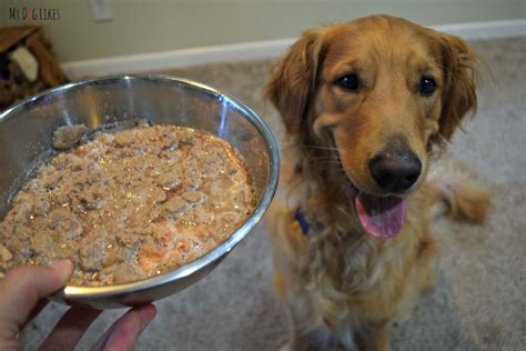 Is It Ok To Add Water To Dry Dog Food At Doris Zimmerman Blog