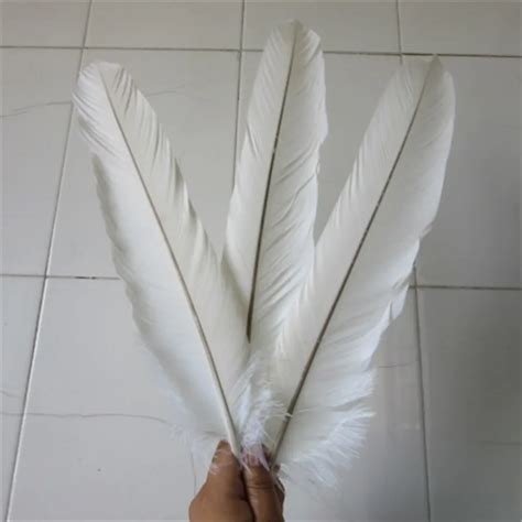 wholesale 5 pcs high quality white eagle tail feathers 38 45cm/15 ...