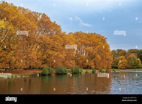 autumn colours   decksteiner pond   green belt stock photo