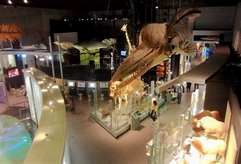 National Museum of Nature and Science - GaijinPot Travel