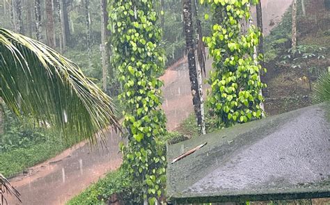 Kerala Widespread Rains Continue To Lash Across Several Parts Of The