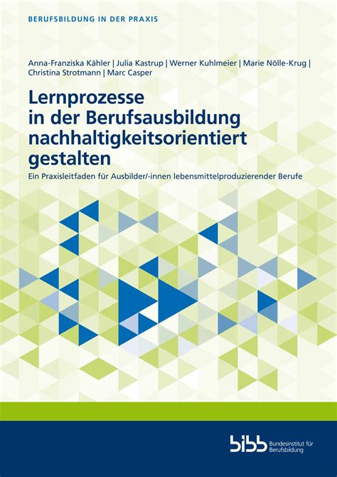 Lernprozesse In Der Berufsausbildung Nachhaltigkeitsorientiert Gestalten