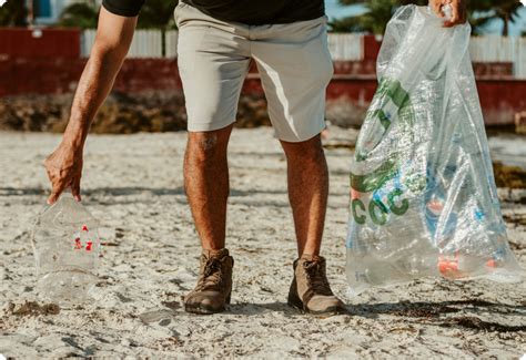 Ecoce Directorio Nacional De Acopiadores