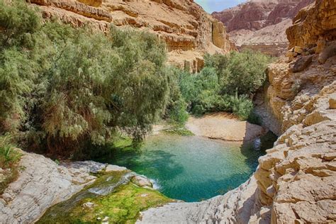 Ein Gedi Nature Reserve Tourist Israel