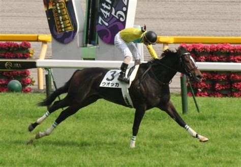 愛され続ける名馬！競馬の歴代人気馬ランキング【トップ15】 競馬情報サイト