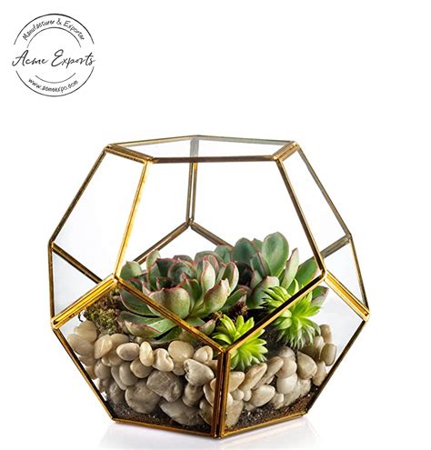 Contemporary Design Tall Geometric Glass Terrarium With Black Finished